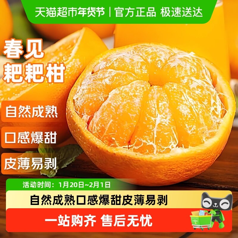 正宗四川春见耙耙柑新鲜现摘应当季水果整箱粑粑柑丑橘子杷杷甜桔,水产肉类/新鲜蔬果/熟食,桔子,淘宝优惠券,粉丝福利购,淘宝优惠卷