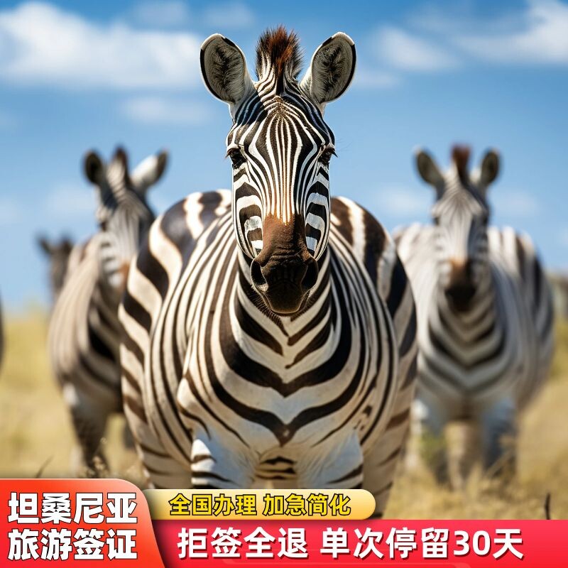 坦桑尼亚签证·加急简化办理·拒签全退·30天单次·免机票酒店·过境