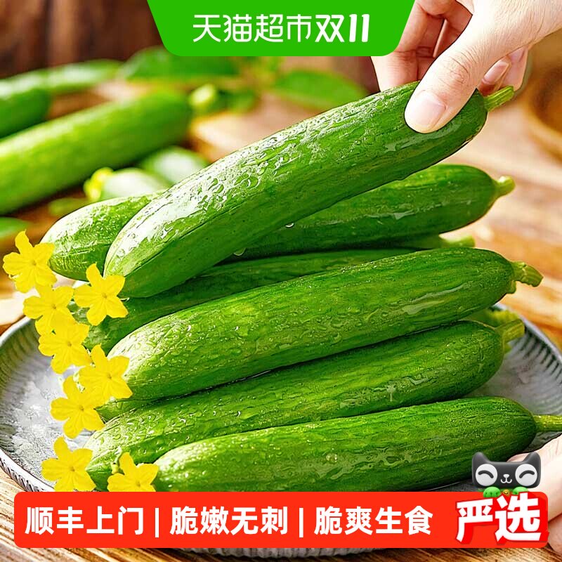 瓜憨憨新鲜水果黄瓜脆嫩无刺脆爽生食健康应季蔬菜旱黄瓜青瓜菜