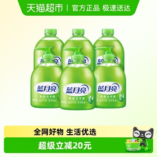 蓝月亮芦荟抑菌洗手液家用滋润瓶装 6瓶温和不伤手 500g