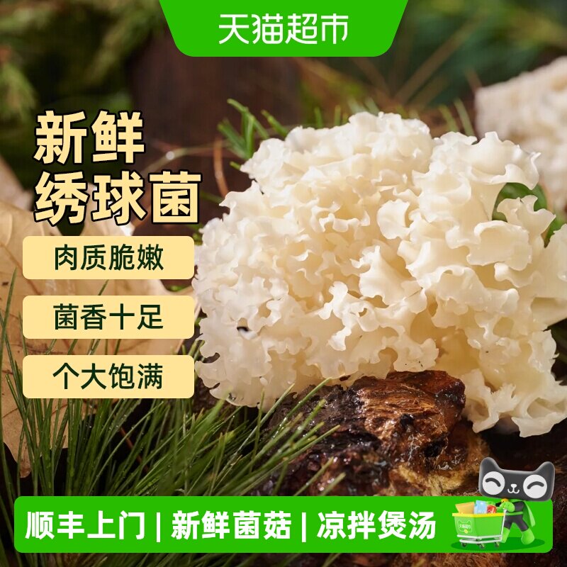 胡鲜森绣球菇口感细腻吃法多样图片
