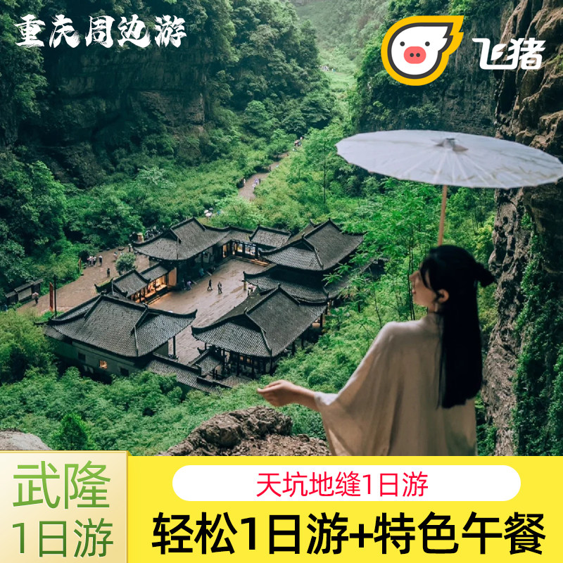 武隆2-8人团一日游纯玩0购物|天坑+地缝+乌江画廊|含门票上门