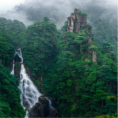 莽山西门•将军寨•天台山•猴王寨•赏秋色新丰岭南红叶世界3天