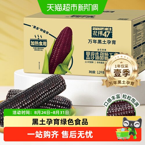 北纬47°珍珠甜糯玉米软糯鲜香