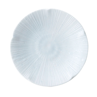 日本原装进口餐具美浓烧有古窑陶瓷盘釉下彩日式家用菜盘点心盘子