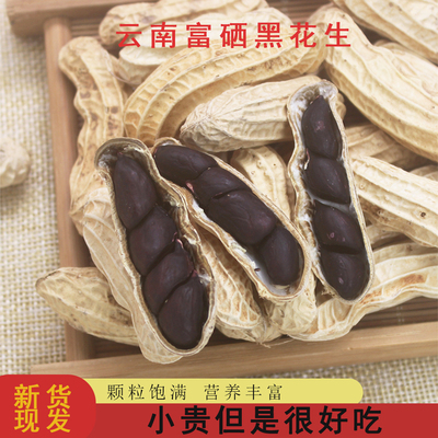 2025年黑花生带壳富硒黑花生生的晒干种子云南特产普洱黑皮花生米