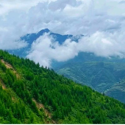 [云华山-大门票]云华山-大门票