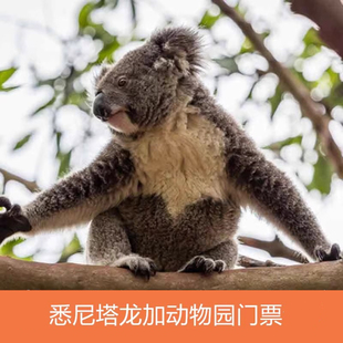 [塔龙加动物园-大门票]秒出票 悉尼塔隆加动物园 Taronga Zoo