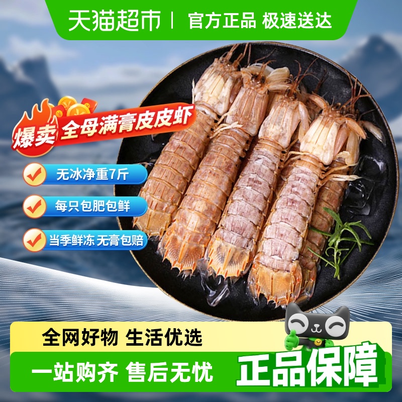 渔游记皮皮虾
