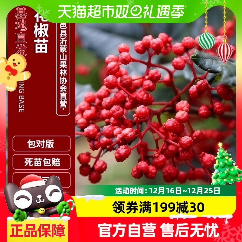 �������������໨�������ٽ������̻����齷����ɻ���ɻ����