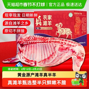 半只羊礼盒正宗宁夏滩羊肉新鲜现杀盐池羔羊排羊后腿整只年货送礼