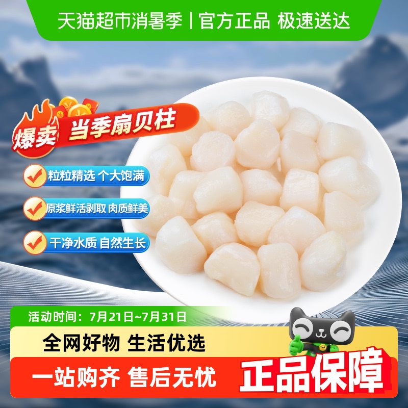 渔游记扇贝柱