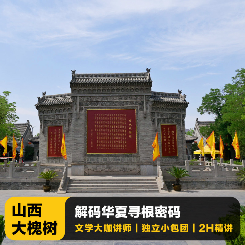临汾大槐树讲解一日游