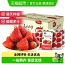 四川大凉山露天红颜草莓奶油草莓现摘新鲜水果生鲜时令礼盒