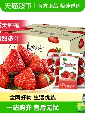 四川大凉山露天红颜草莓奶油草莓现摘新鲜水果生鲜时令礼盒