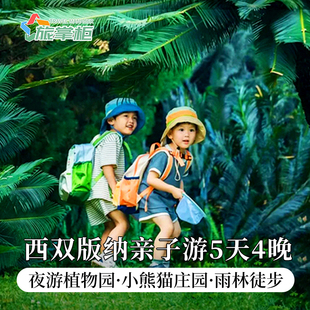 【亲子版纳】西双版纳亲子游5天4晚普洱小熊猫酒店雨林徒步采茶