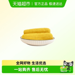 联名延边玉米助农礼包200g &天猫 4根软糯香甜 种地吧3