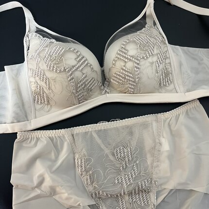 伊75A 80B 80C聚拢高奢无钢圈调整型三排扣10811031