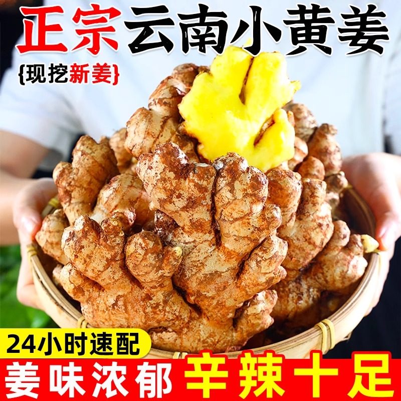 正宗云南小黄姜红河新鲜生姜老姜现挖高山沙姜土姜种子蔬菜
