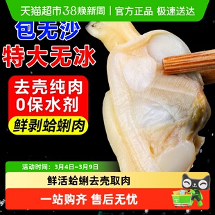 青岛花甲蛤蜊肉新鲜冷冻花蛤黄蚬子肉