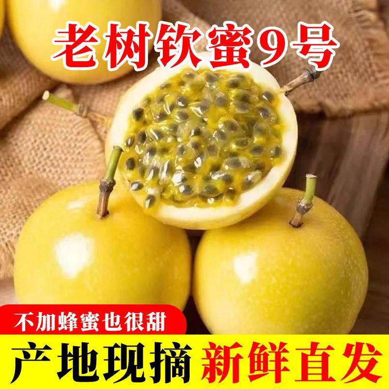 广西百香果黄金钦蜜9号新鲜包邮大果当季应季水果纯甜产地直发