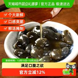 遇上鲜舟山醉泥螺即食罐装黄泥螺新鲜生腌泥螺海鲜宁波特产大