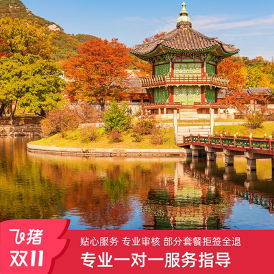 韩国首尔旅行签证电子申请