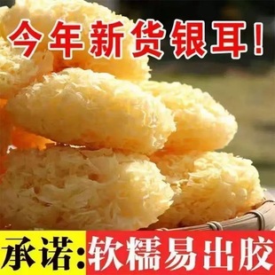新货精选古田大花银耳无硫椴木白木耳小糯耳燕耳莲子百合银耳羹
