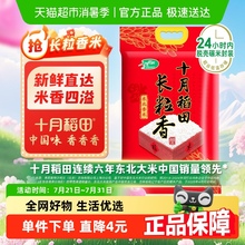 [2024年新米]十月稻田东北长粒香大米粳米一年一季绿豆粥原料