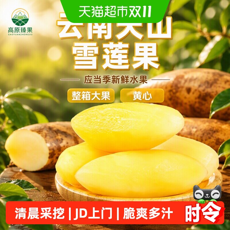 云南天山雪莲果应当季新鲜水果整箱大果非红心雪莲果黄心
