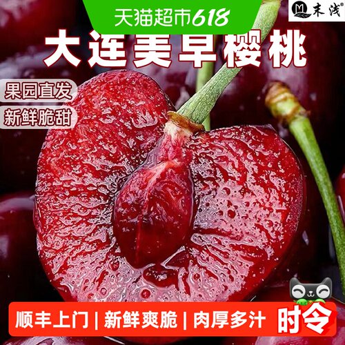 末浅大连美早樱桃个大饱满