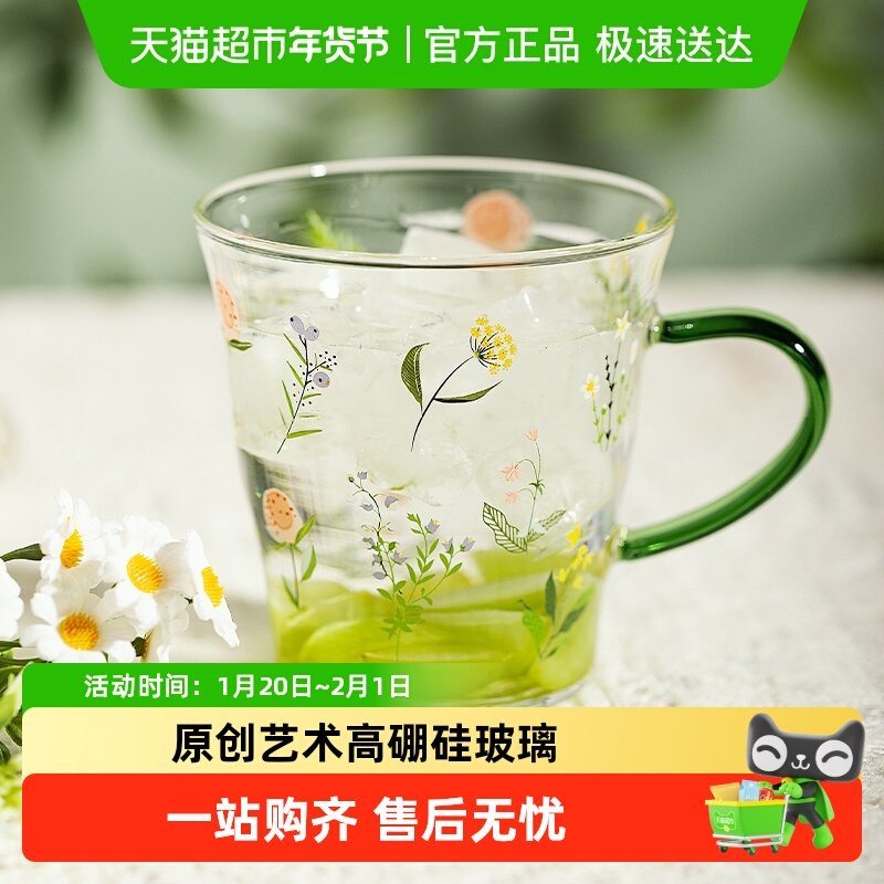 摩登主妇小枝荨高硼硅玻璃杯耐高温女生高颜值水杯家用带把手杯子