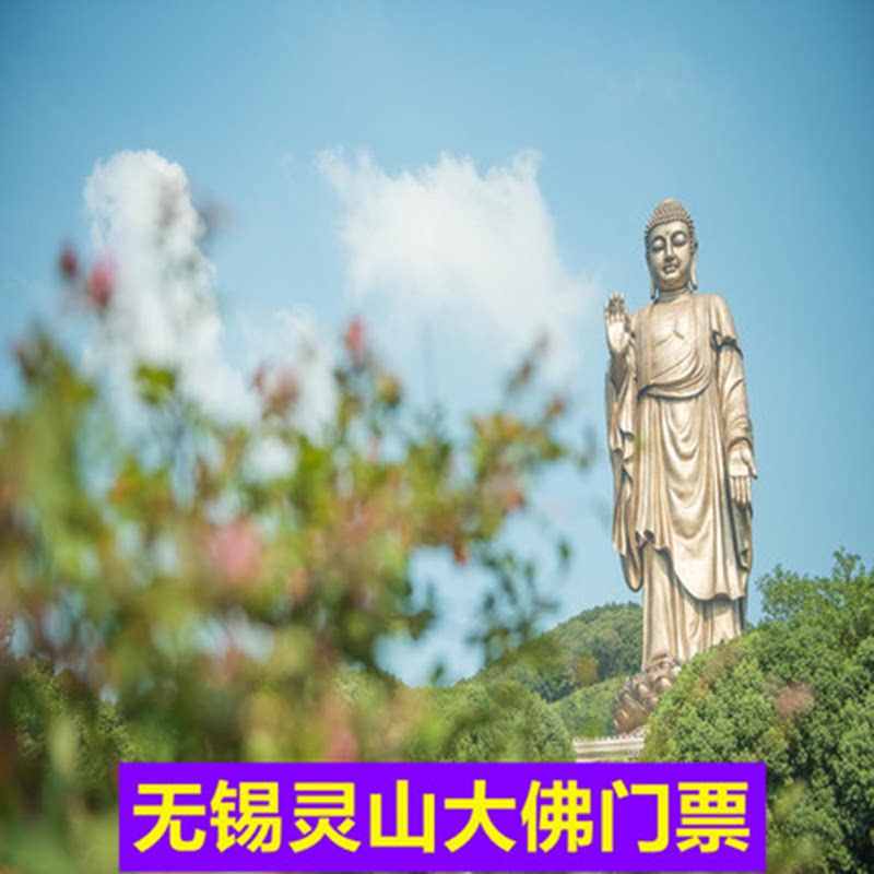 无锡灵山大佛门票成人票团队票