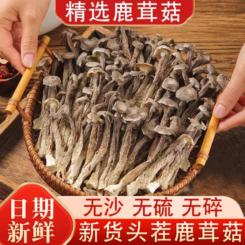 精选鹿茸菌干货鹿茸菇干货云南菌子脆脆菇干鹿茸菇煲汤500g