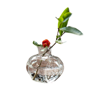 梵悦迷你小石榴干花花瓶日式手作花器摆件创意水养植物玻璃工艺品