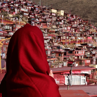 成都出发川西大环线稻城亚丁四姑娘山色达7天6晚跟团游