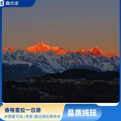 香格里拉当地普达措松赞林寺纳帕海梅里雪山巴拉格宗阿布吉一日游