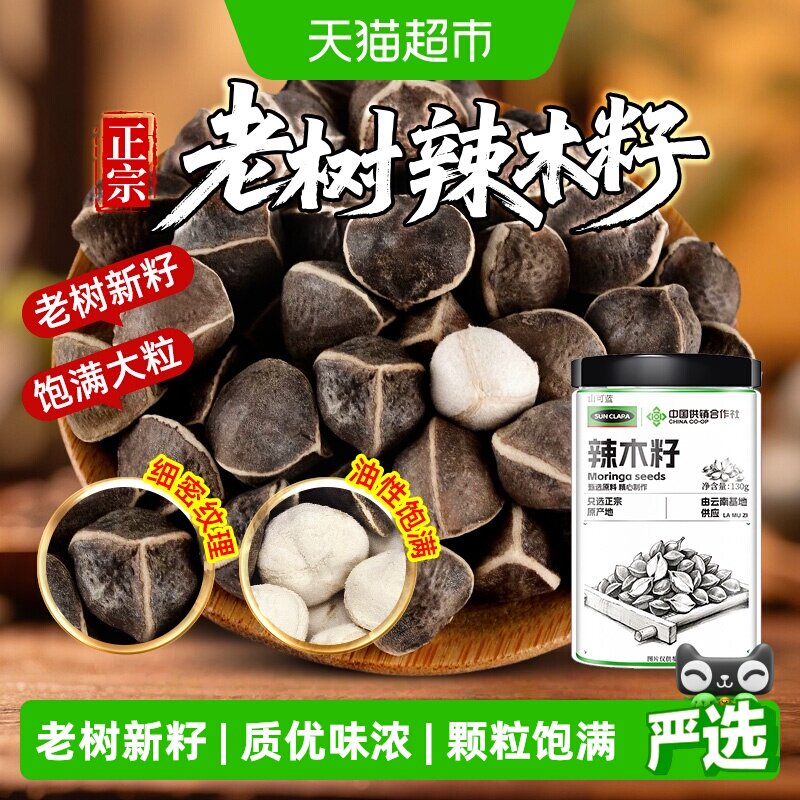 辣木籽云南老树新货辣木籽中草药材精挑选饱满大果泡水食用养生茶