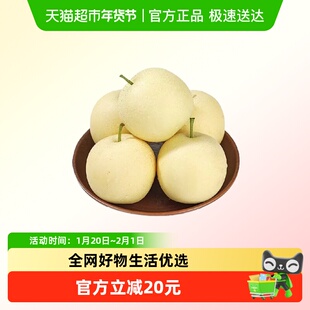 正宗河北皇冠梨新鲜水果当季甜白梨脆甜多汁整箱
