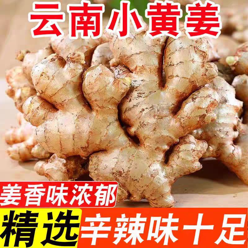 云南正宗小黄姜生姜老姜10斤新鲜月子姜新姜生姜批发价蔬菜1斤