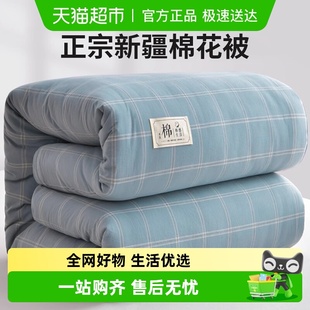 新疆棉花被子冬被棉被棉芯冬季 加厚保暖单人春秋被棉花被芯棉絮