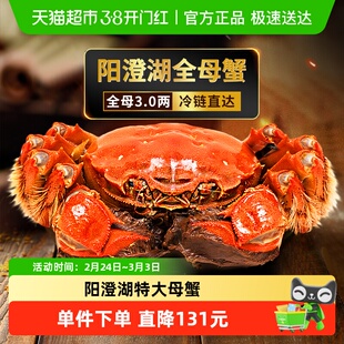 湖东蟹阳澄湖大闸蟹鲜活螃蟹全母3.0两*8只装特大母蟹海鲜礼盒