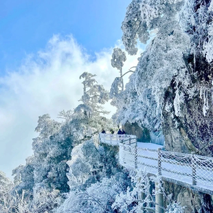春节【郴州·冰雪莽山3天】五指峰缆车+白廊游船丨东江湖+高椅岭