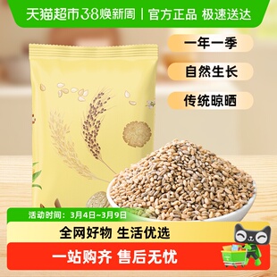 邹有才蓝青稞米高原特产新米粗粮主食五谷杂粮煮粥谷物煮饭麦仁