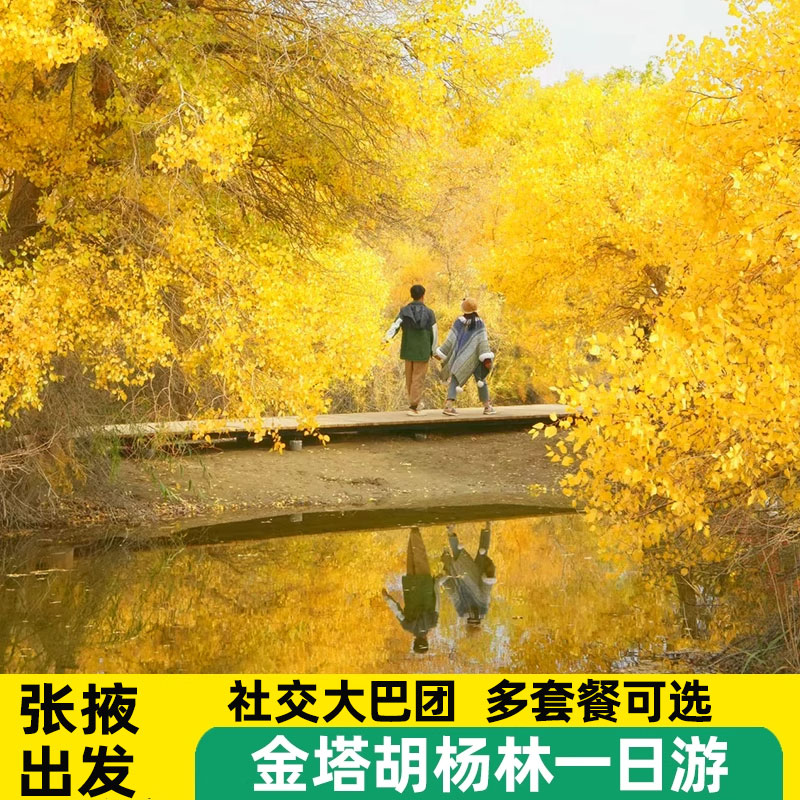 张掖出发 金塔胡杨林一日游 多套餐可选  沙漠胡杨林 拍照打卡