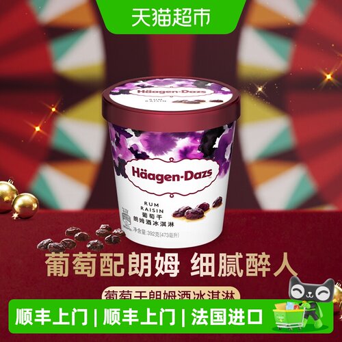 哈根达斯沉浸追剧冰淇淋392g