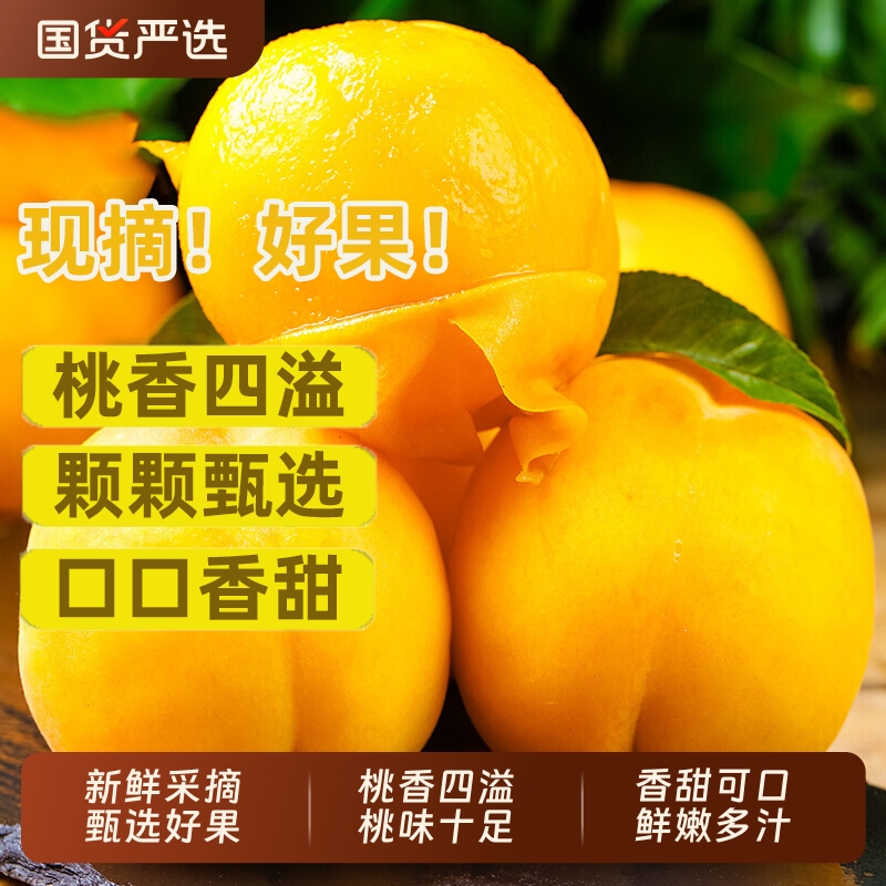 山东蒙阴黄桃3/5斤黄金蜜桃新鲜水果黄毛桃当季应季生鲜现摘桃子