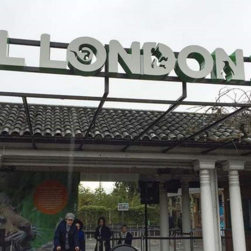 [伦敦动物园-大门票]英国 伦敦 伦敦动物园 大门票