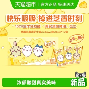 箱chiikawa联名定制装 伊利优酸乳黄油芝士味200ml 12盒