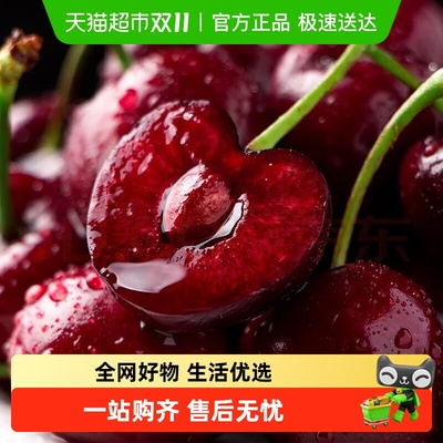 空运车厘子5天内发货智利进口